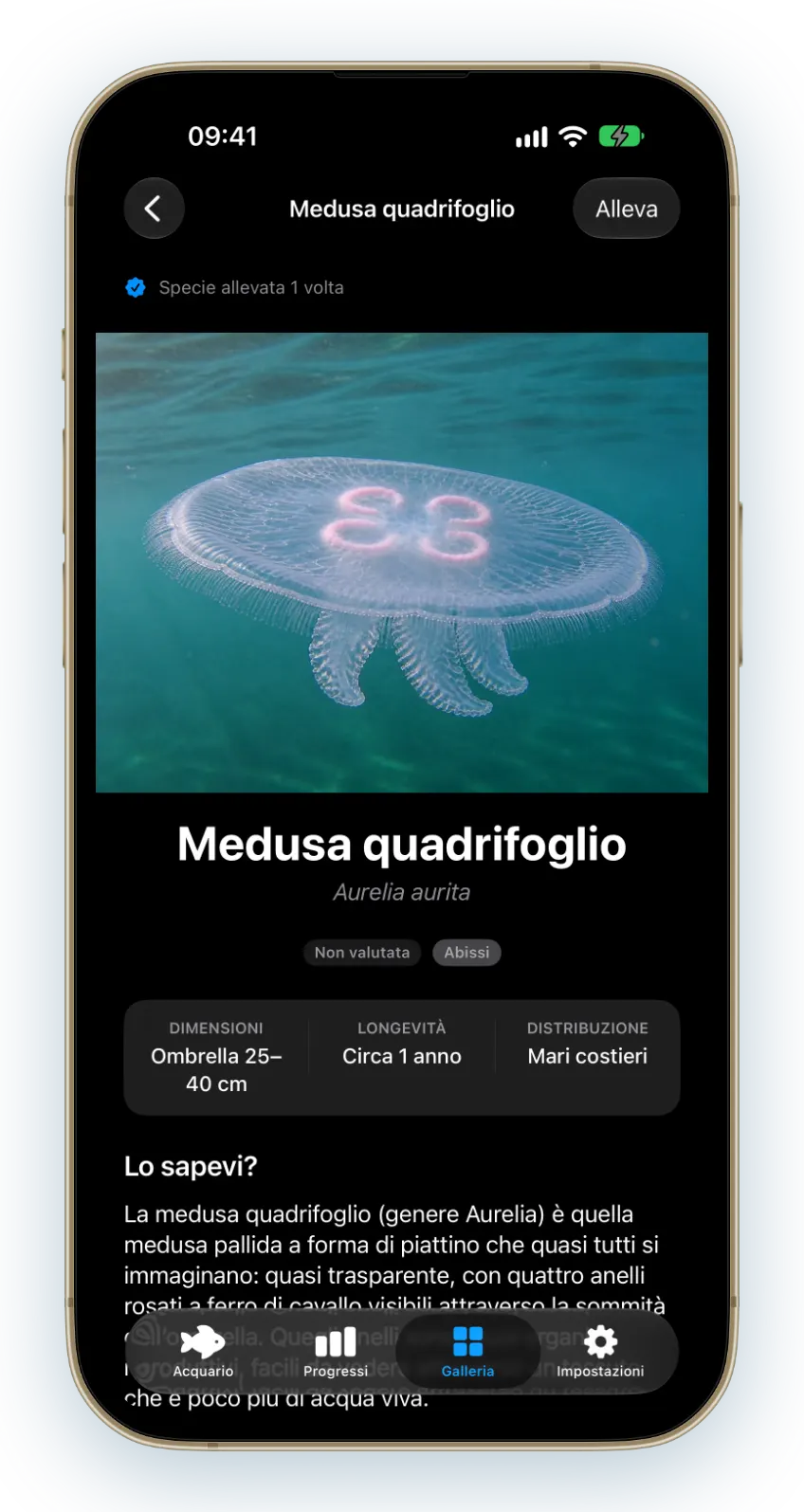 Ogni specie ha la sua pagina, con un’immagine realistica dell’animale e curiosità su come vive.