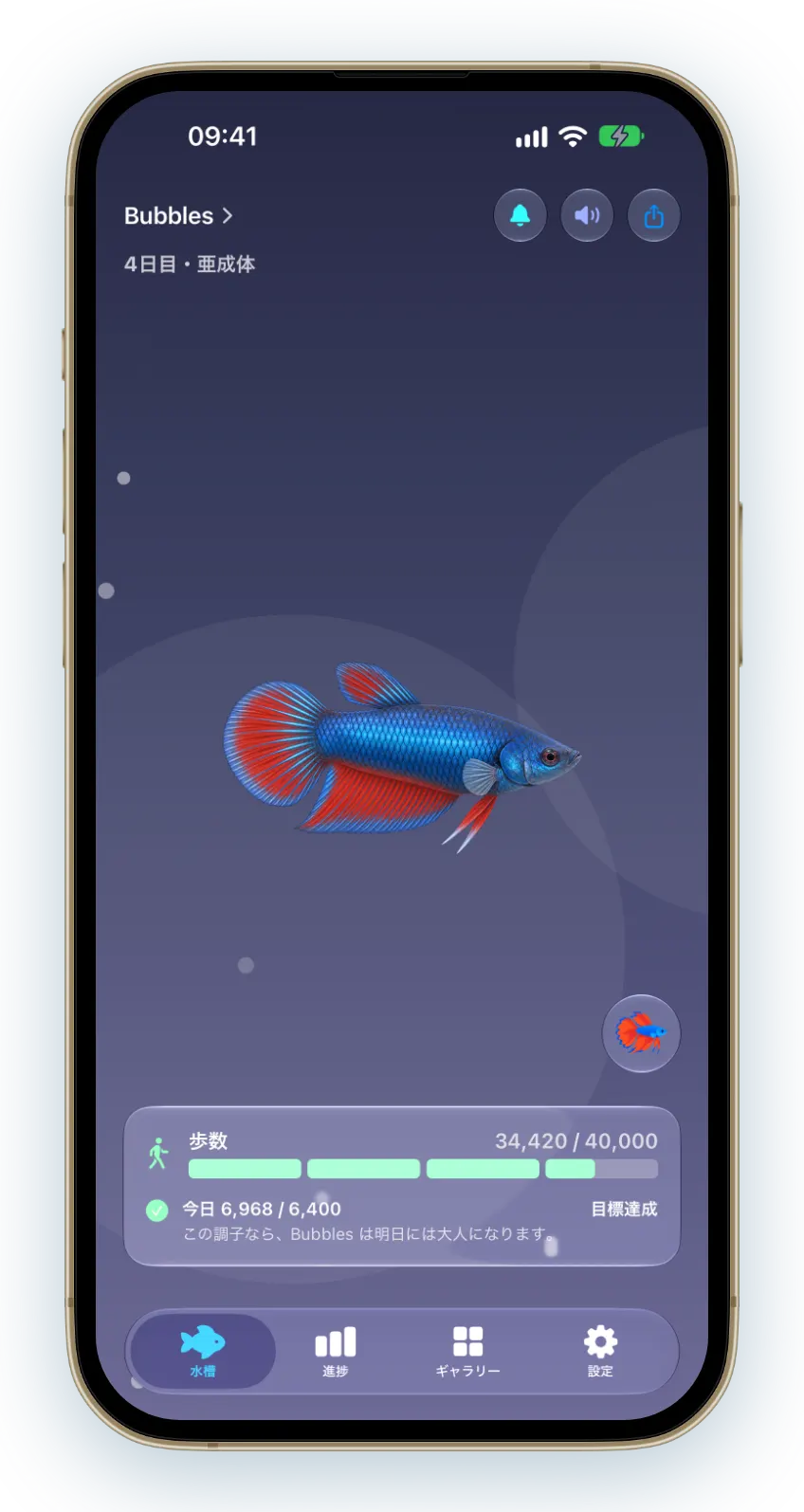 1匹の生き物と1つの風景、そして今日の散歩がひと目で分かります。